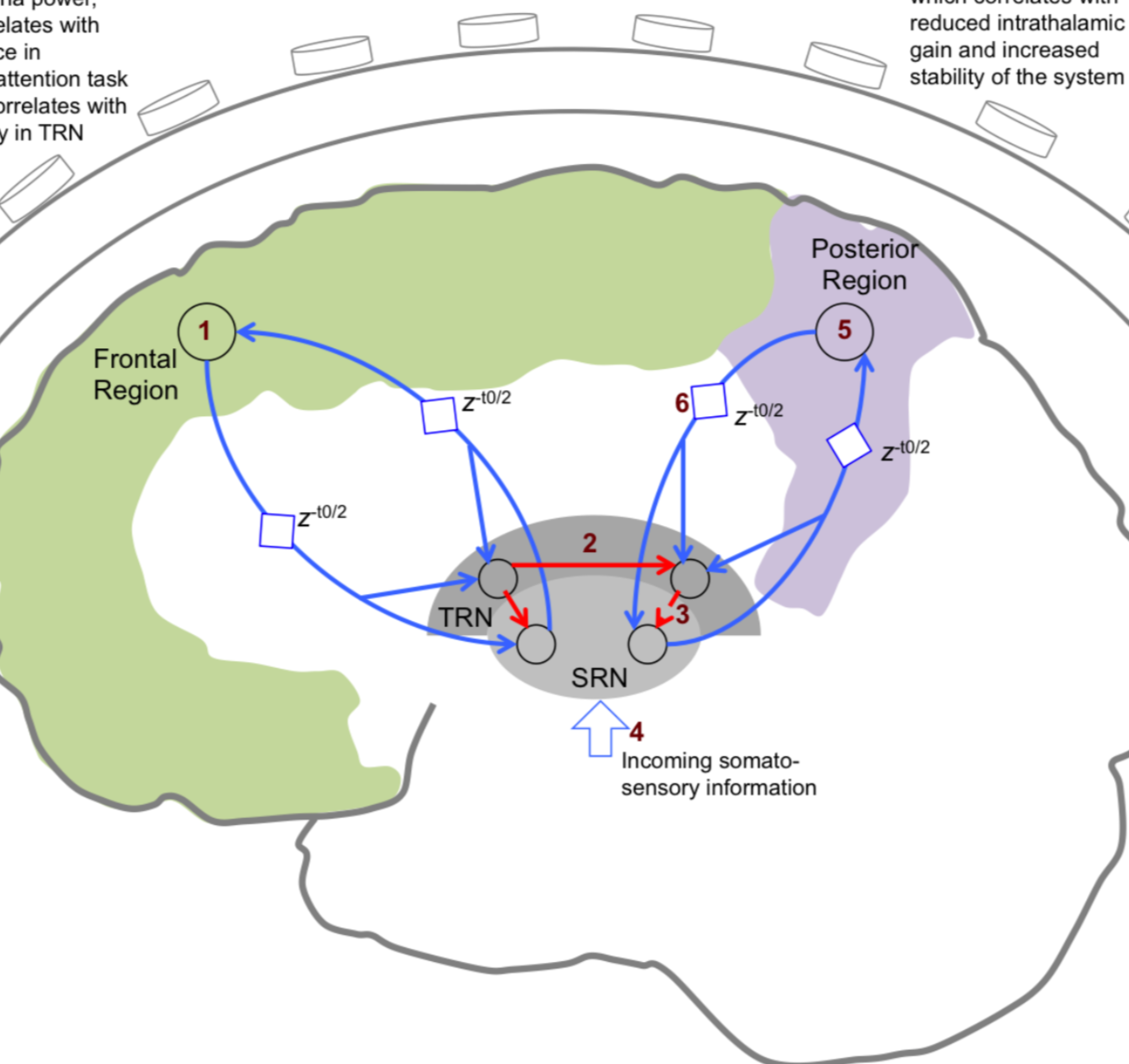 Brain dynamics associated with intensive meditation training