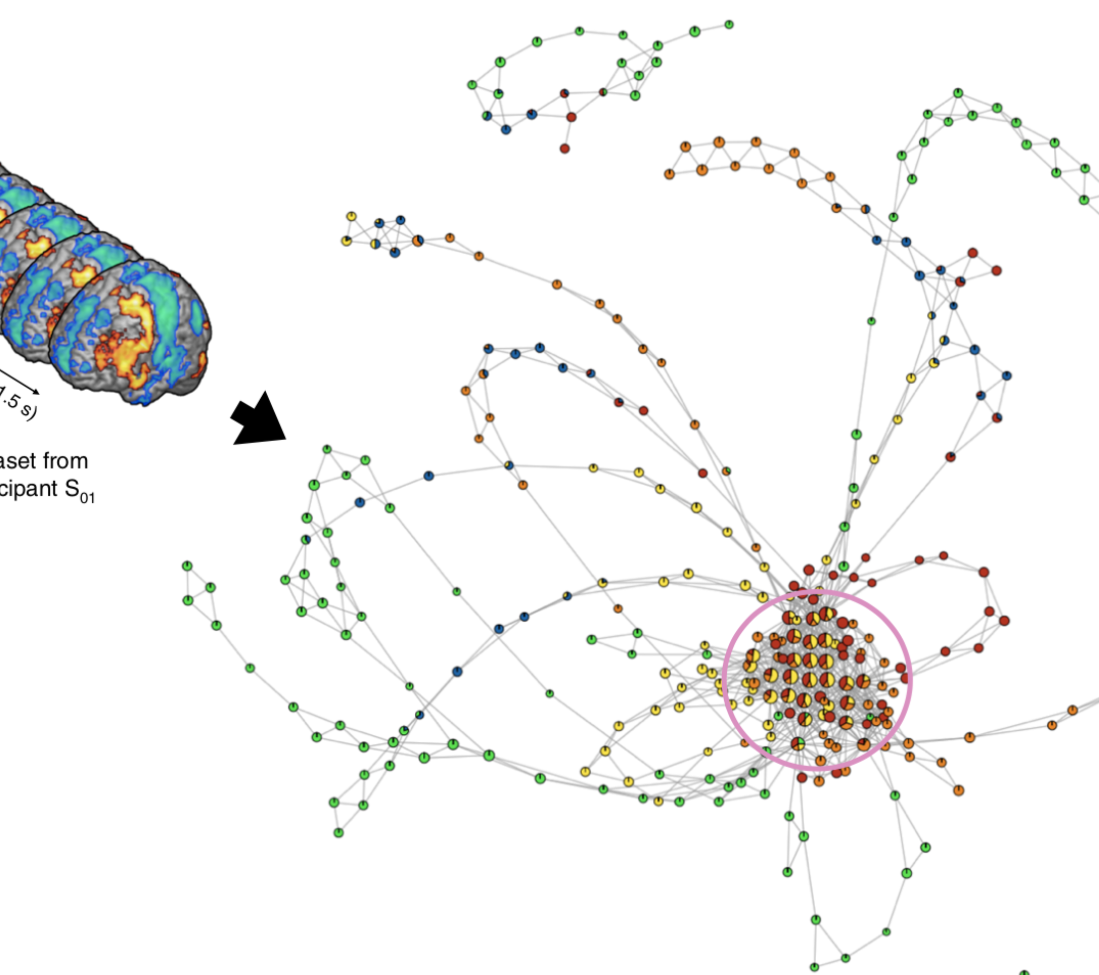 Quantifying and capturing transitions in intrinsic brain activity in healthy and patient populations