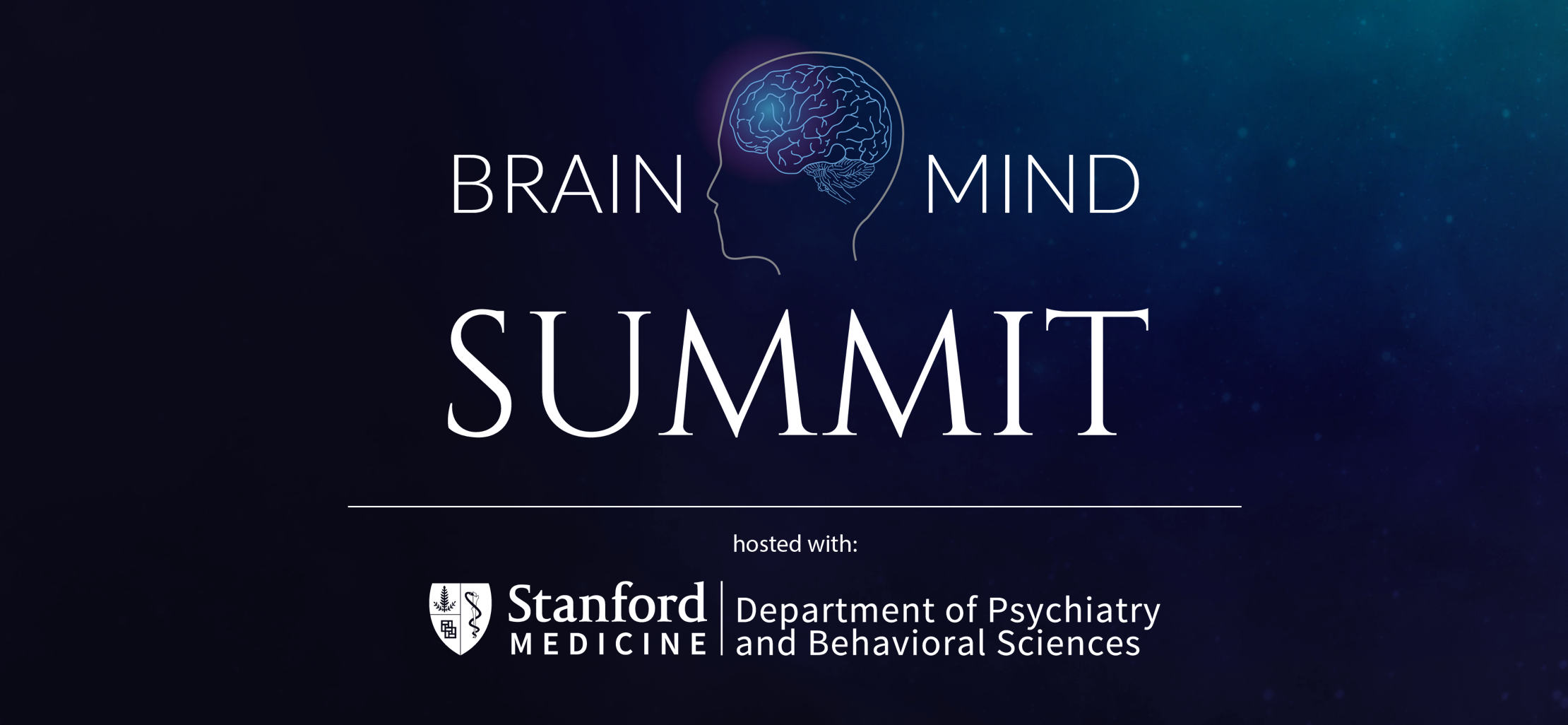 Computational Neuropsychiatry - New Approaches to Psychiatric Diagnosis