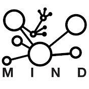 Interacting minds - Hyperscanning